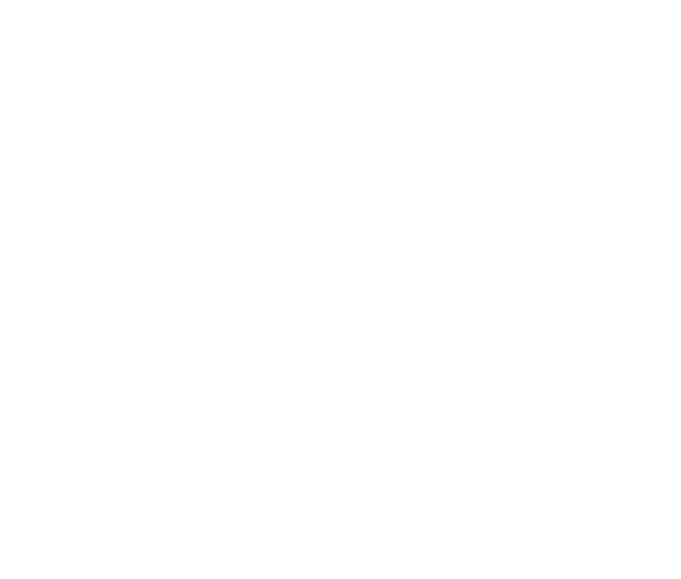 Wing Tsun & BJJ Academy, logotyp